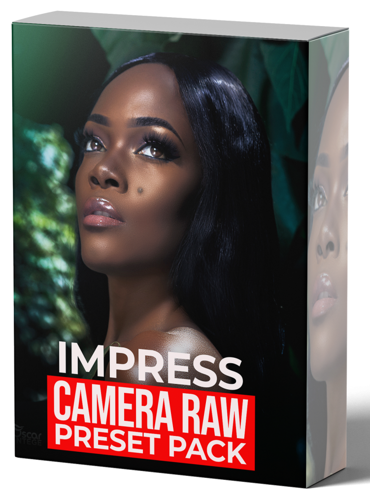 free camera raw preset pack photoshop retouching course